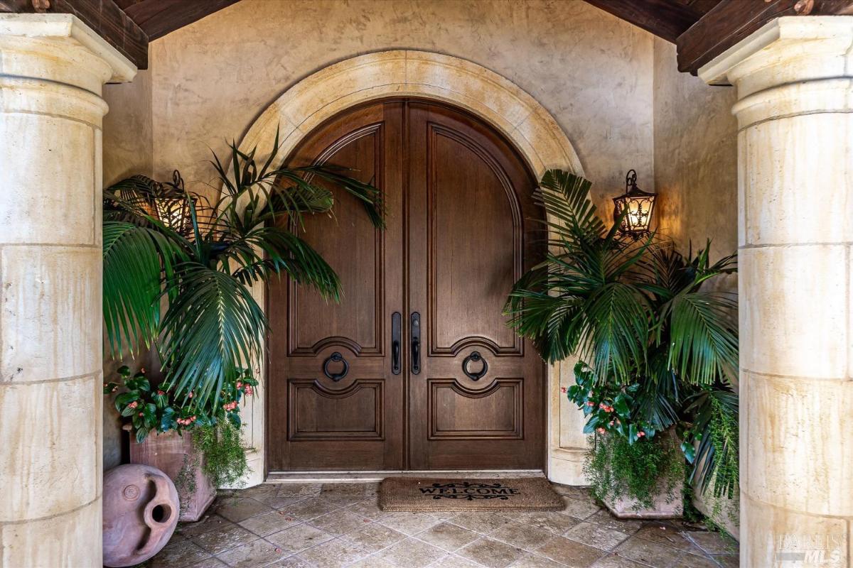 Wooden double doors with an arched entryway and surrounding plants.