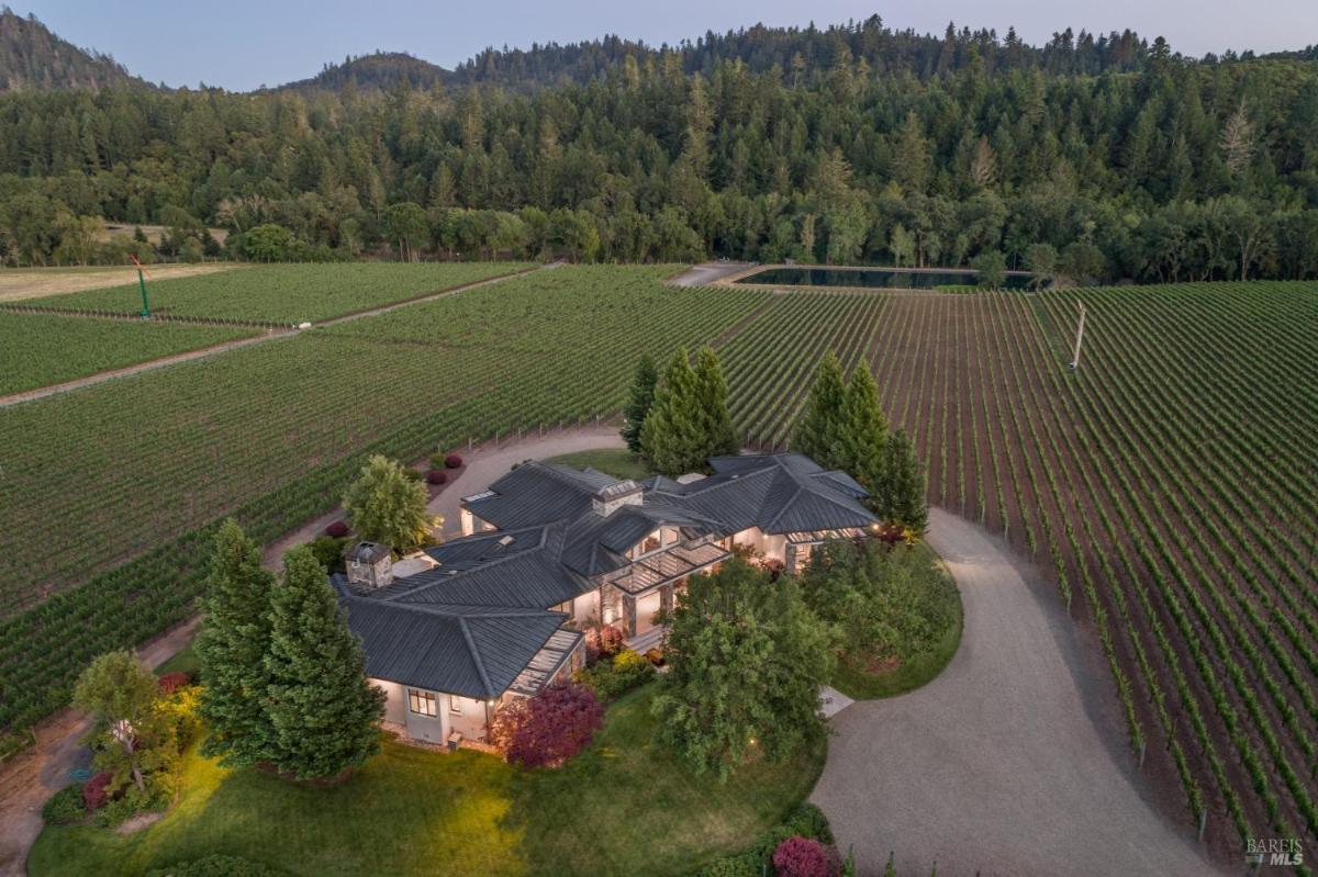 An aerial view of a beautiful house surrounded by lush greenery and vineyards.