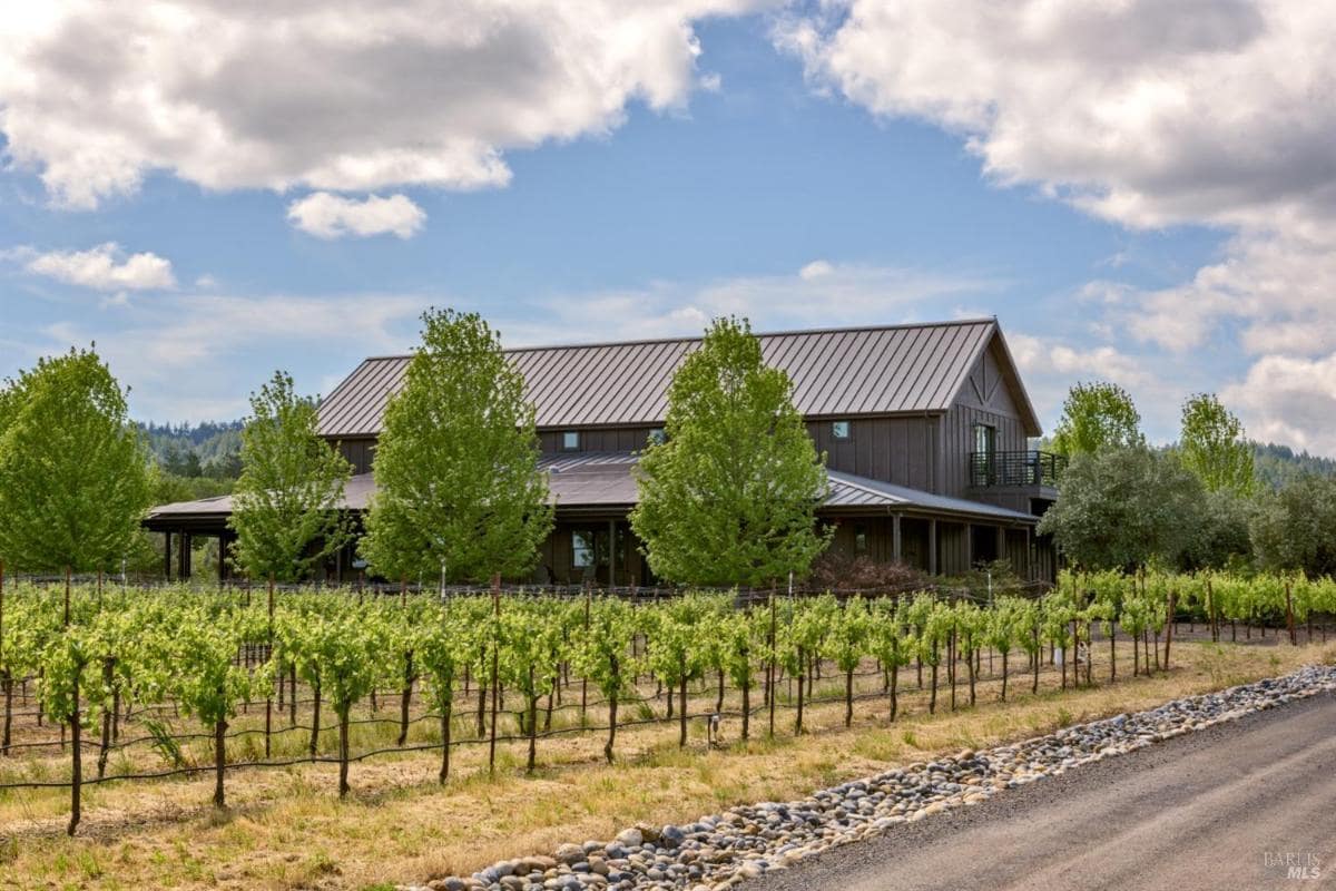 Vineyard with a large building and trees in the background.