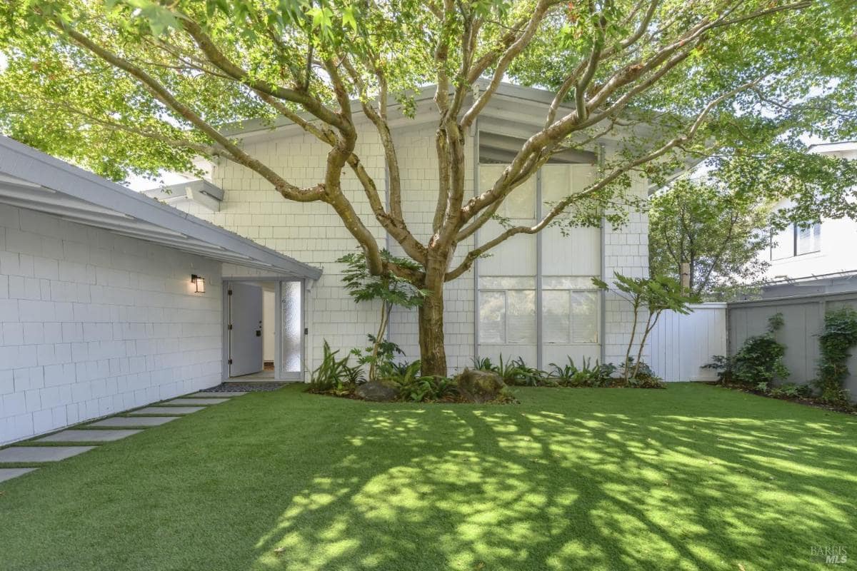 A backyard view featuring a large tree, a lawn area, and the exterior of a white building with tall windows.