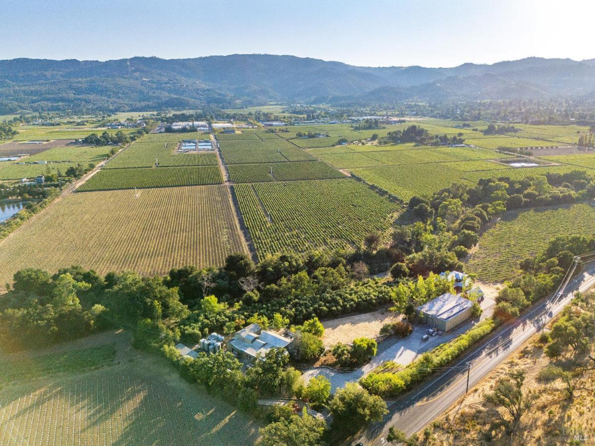 Aerial view of vineyards, a road, and surrounding structures.