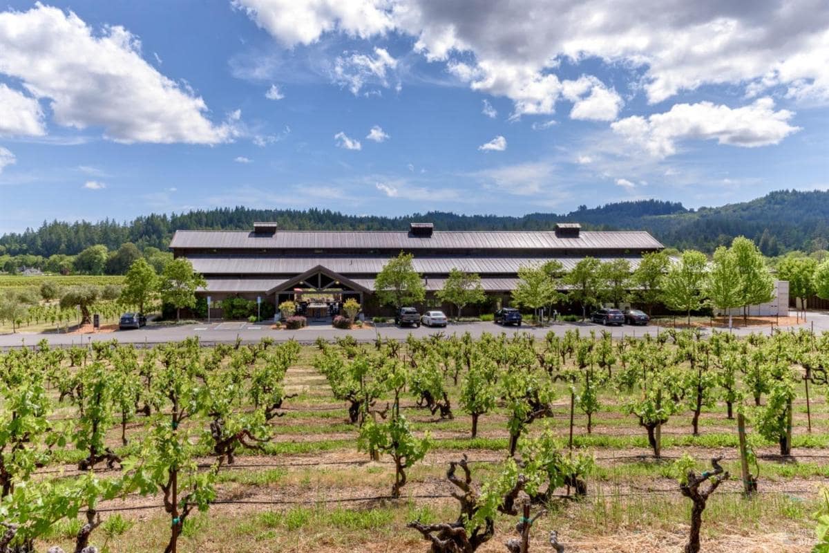 Vineyard with rows of grapevines and a large building in the center.