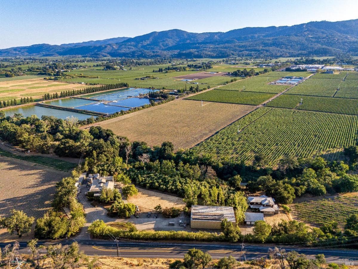 Aerial view showcasing expansive vineyards and nearby facilities.