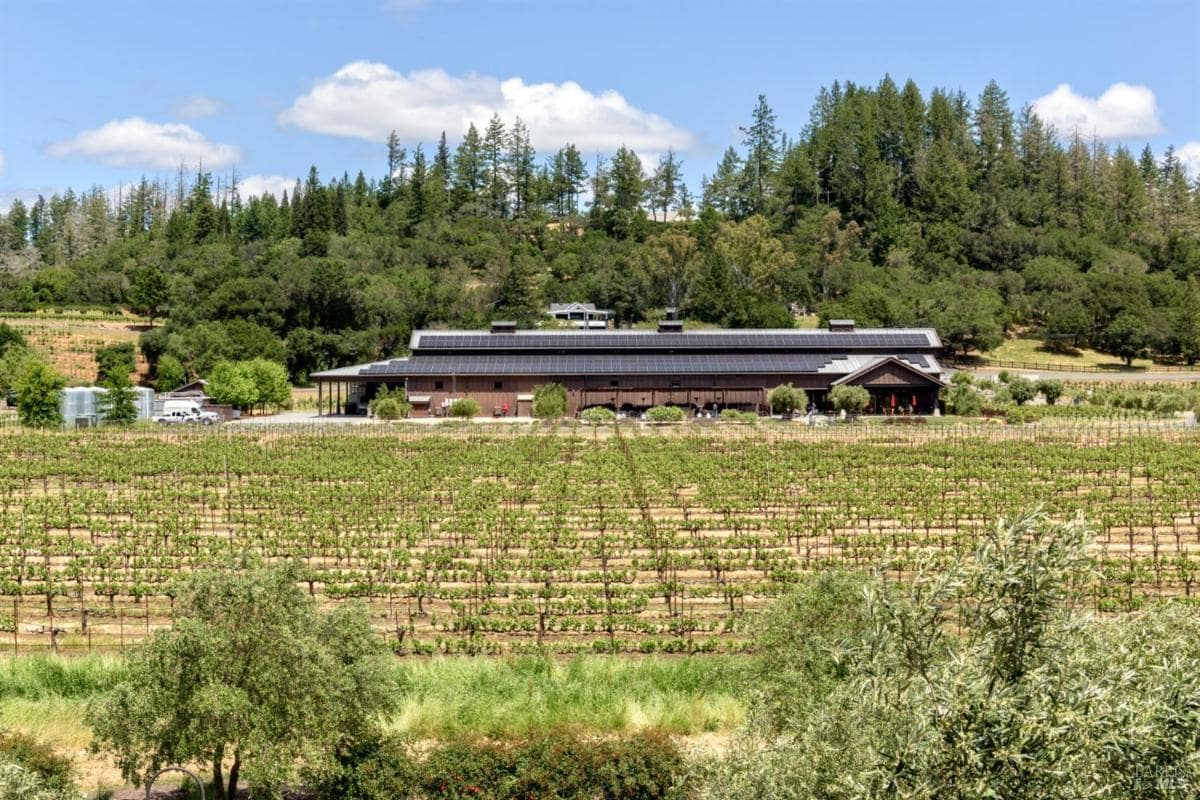 Expansive vineyard with a building featuring solar panels, surrounded by trees.