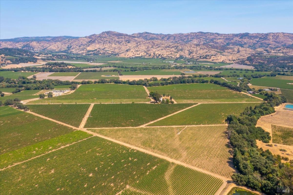 Aerial view showing expansive vineyards and hills, with a property featuring a white house and tower in the center.