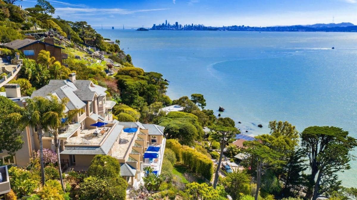 Aerial view of homes nestled on a hillside overlooking calm bay waters, with lush landscaping and city skyline in the distance.