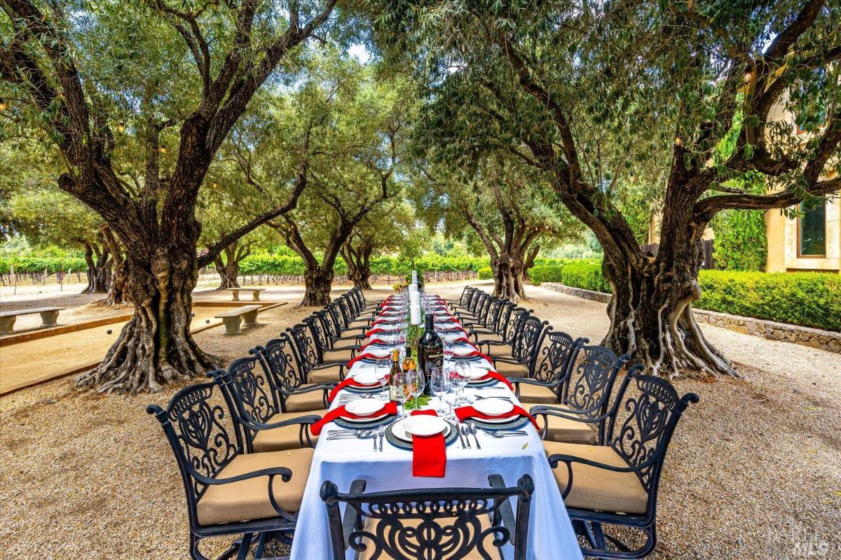 An outdoor dining area with long dining table sorrounded with big trees. 