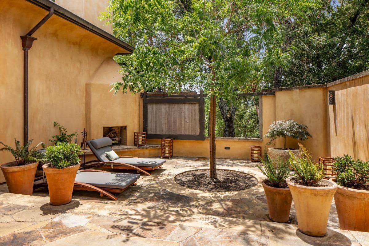 A courtyard with lounge chairs, potted plants, and a small tree.