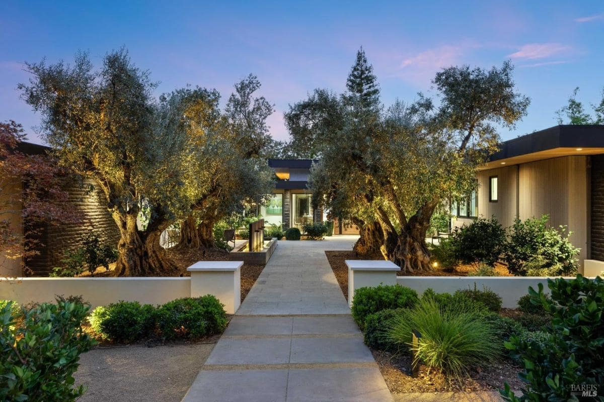 A pathway lined with olive trees leading to the entrance of a house, surrounded by manicured bushes and landscaping.