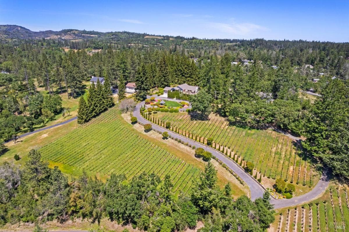 Aerial view of a vineyard with rows of grapevines, surrounded by trees and a house in the background.