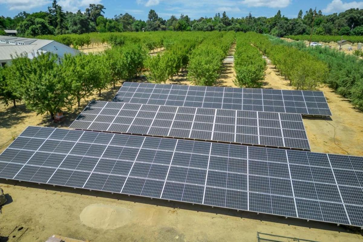 A solar panel installation in an orchard.