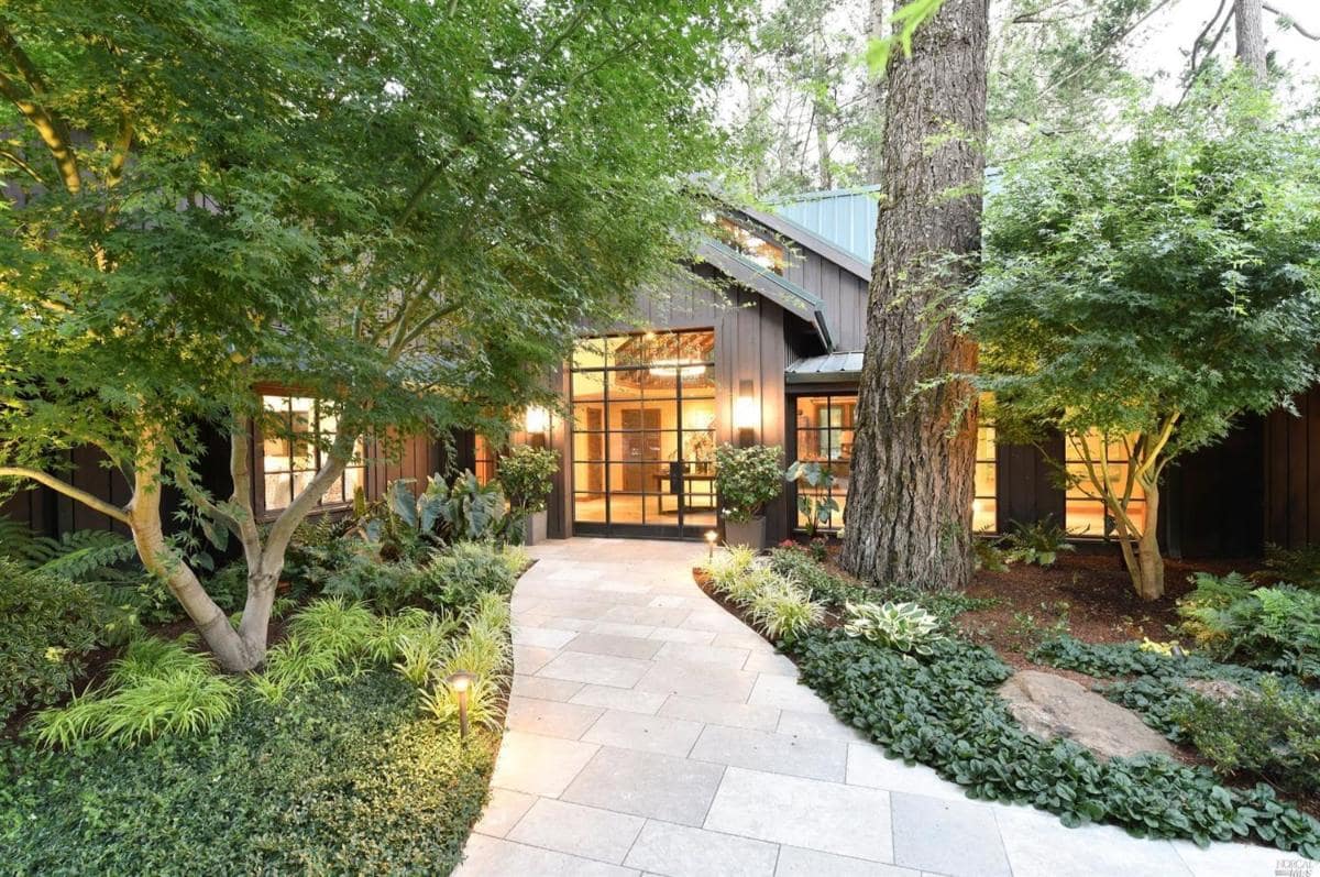 Entrance pathway surrounded by plants, leading to a glass door under trees.