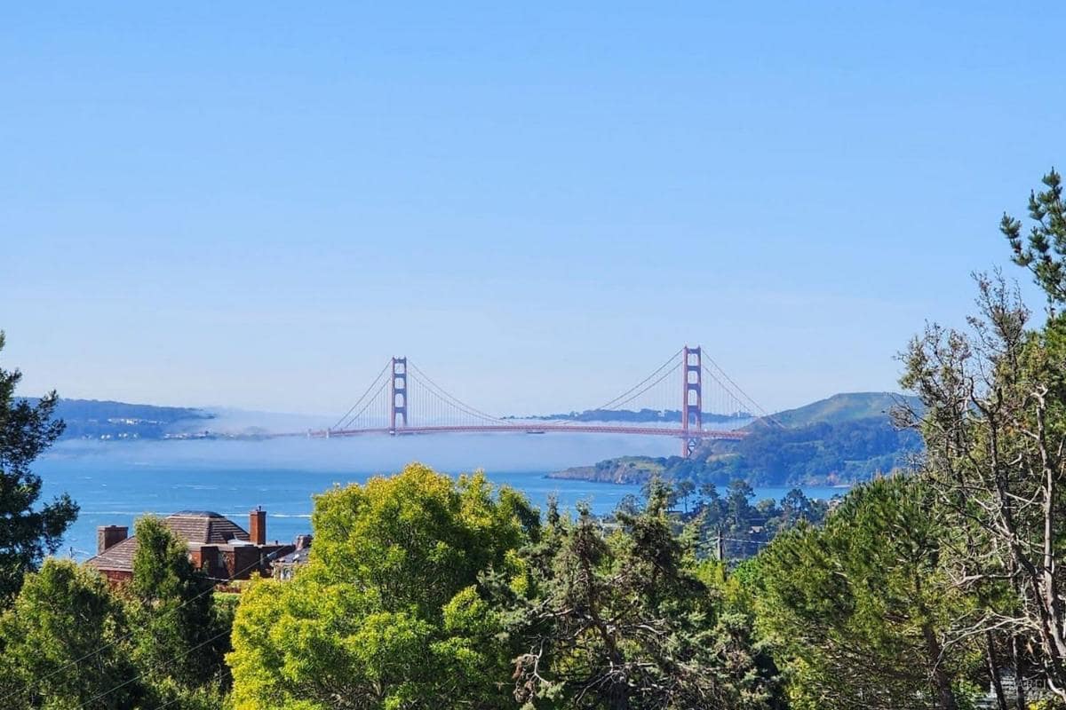 A clear daytime view of the Golden Gate Bridge, partially surrounded by lush green trees.