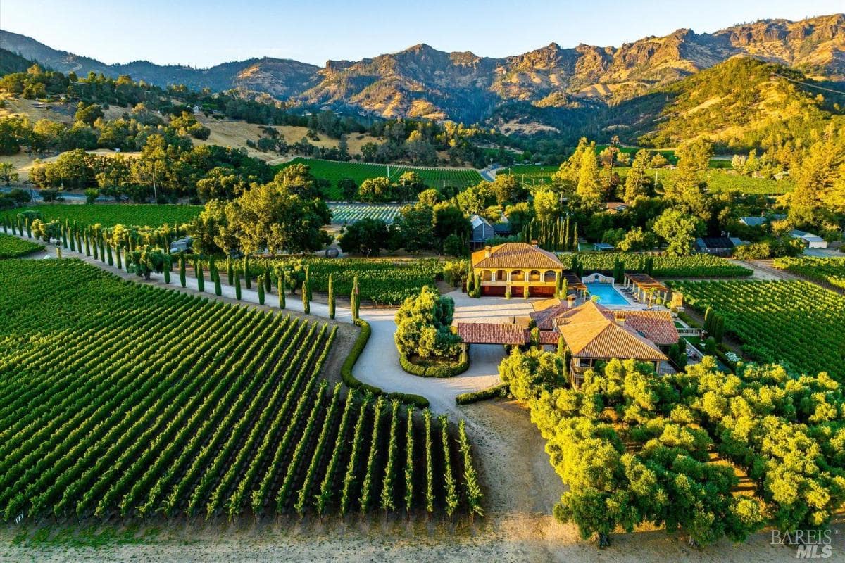 Aerial view of a mansion with a vineyard in the background.