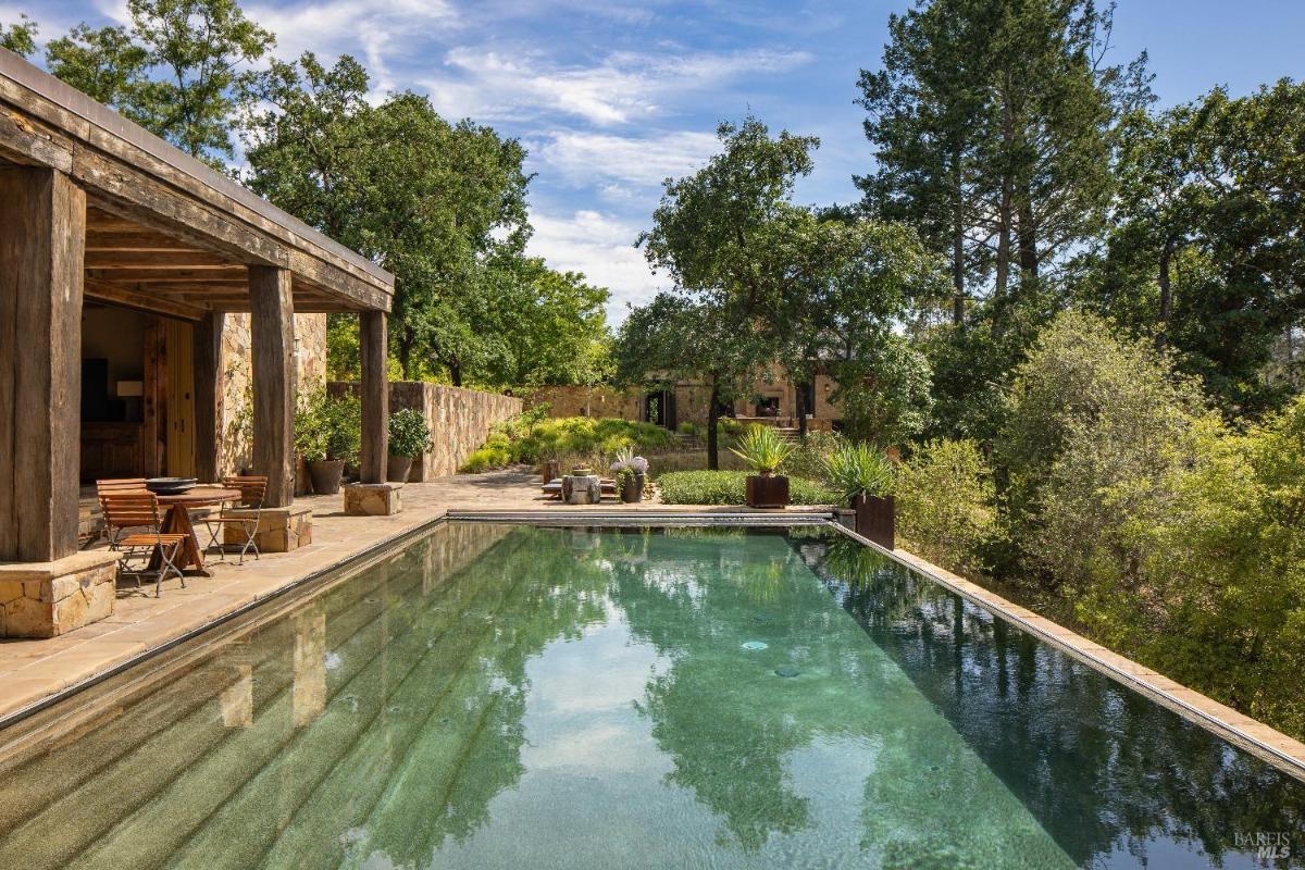 Infinity pool reflecting trees and sky, with adjacent stone patio and greenery.