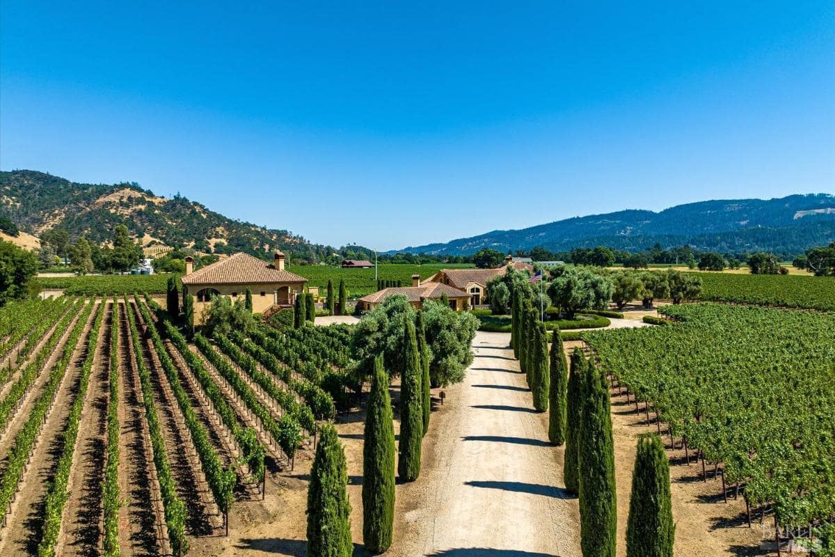 A view of a mansion with a vineyard in the background.