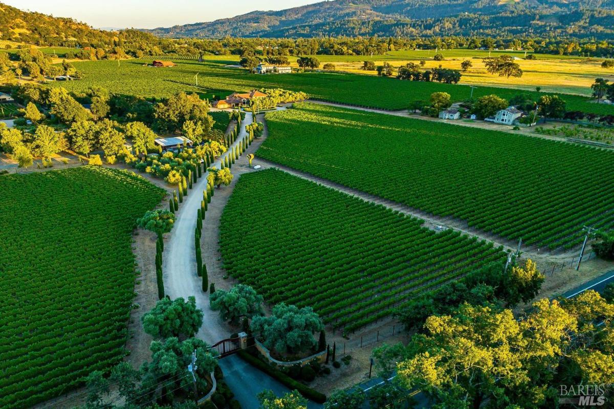 Aerial view of a mansion with a vineyard in the background.