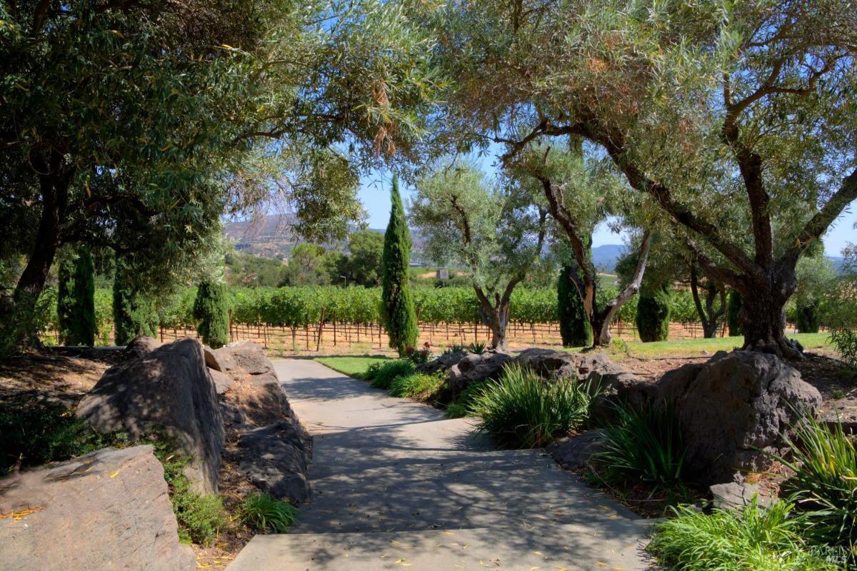 Paved walkway bordered by trees and large rocks, with vineyard rows in the distance.