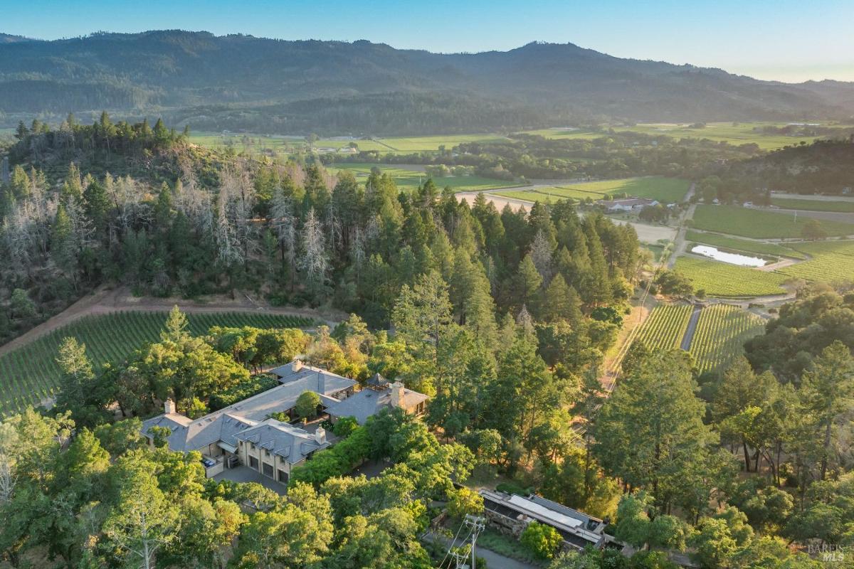 Aerial view of a house surrounded by trees and vineyards with distant hills.