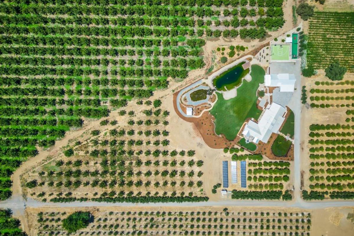 An aerial view of a property surrounded by rows of trees and a pond.