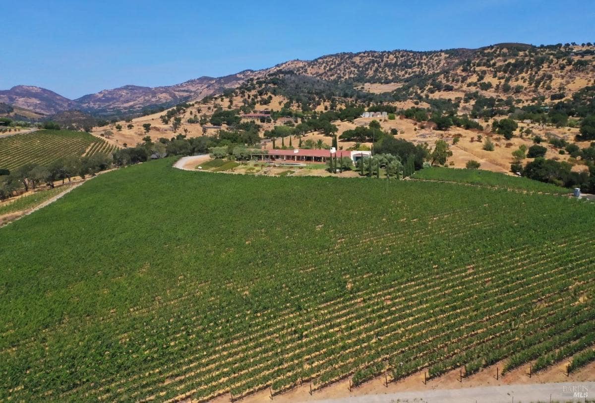 Aerial view of vineyards stretching towards hills with a property in the center.