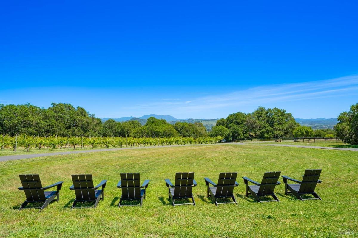 A row of black chairs facing a vineyard under a clear blue sky. 