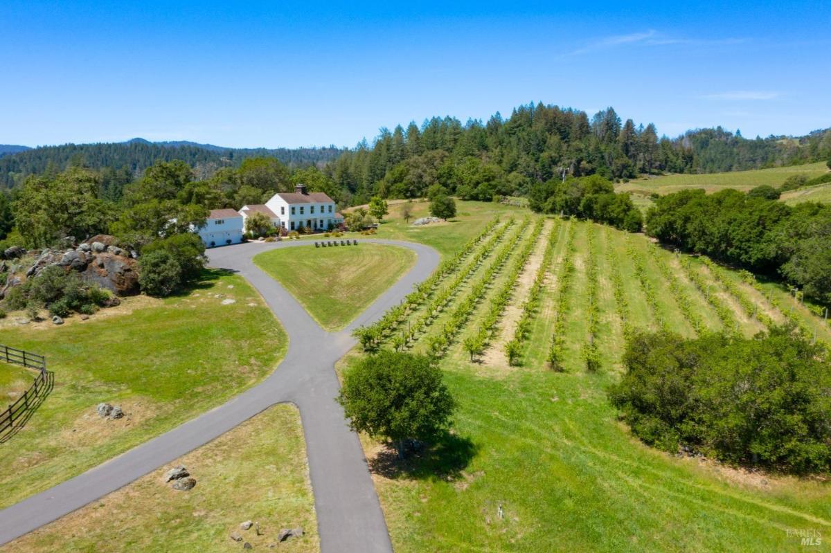 Aerial view of a vineyard and house surrounded by trees. 