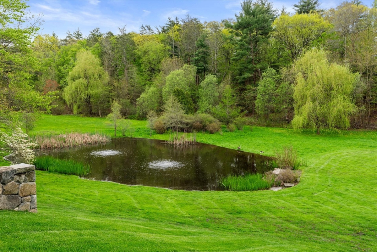 A tranquil pond is nestled amidst lush greenery and surrounded by natural woodland.