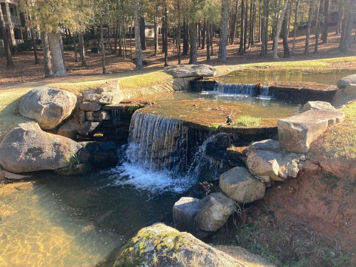 A serene water feature with cascading waterfalls and natural stone accents enhances the tranquil ambiance of the surrounding wooded landscape.