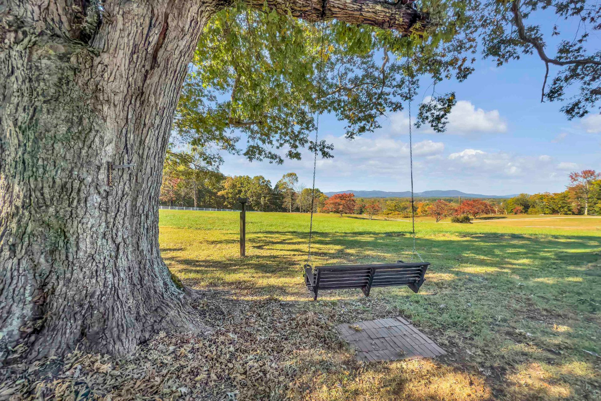 A charming swing hangs from a large, mature tree, offering tranquil views of open fields.