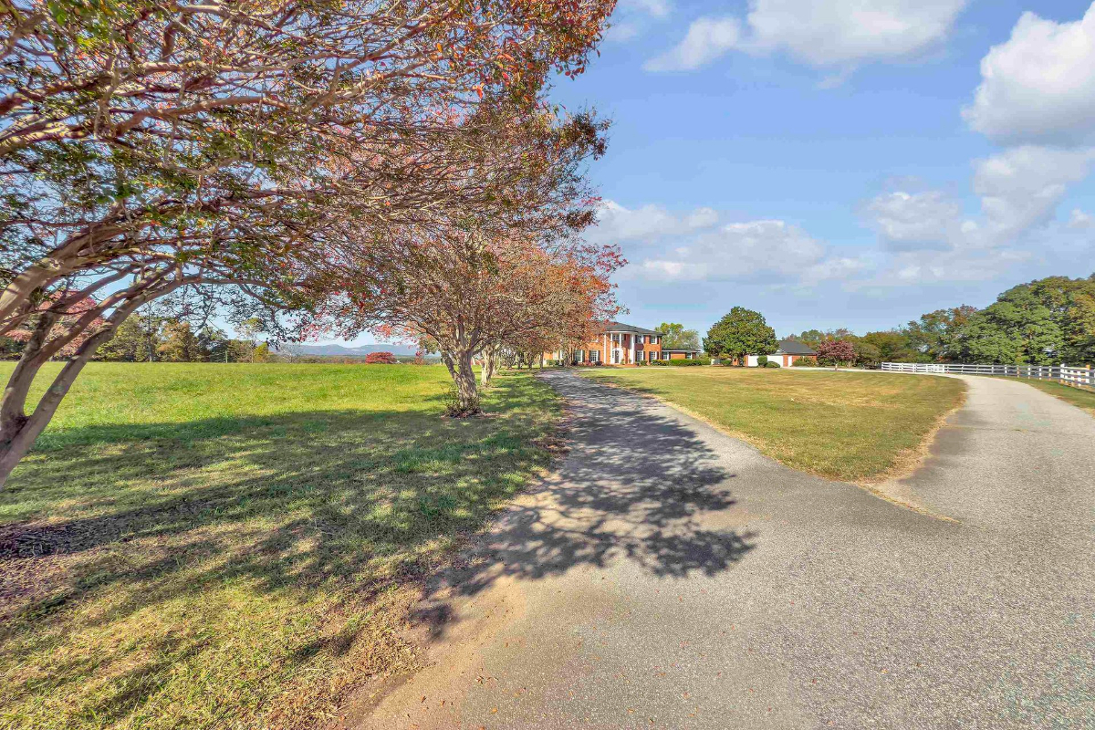 Tree-lined driveway gently curving toward an elegant brick estate, surrounded by expansive green lawns.