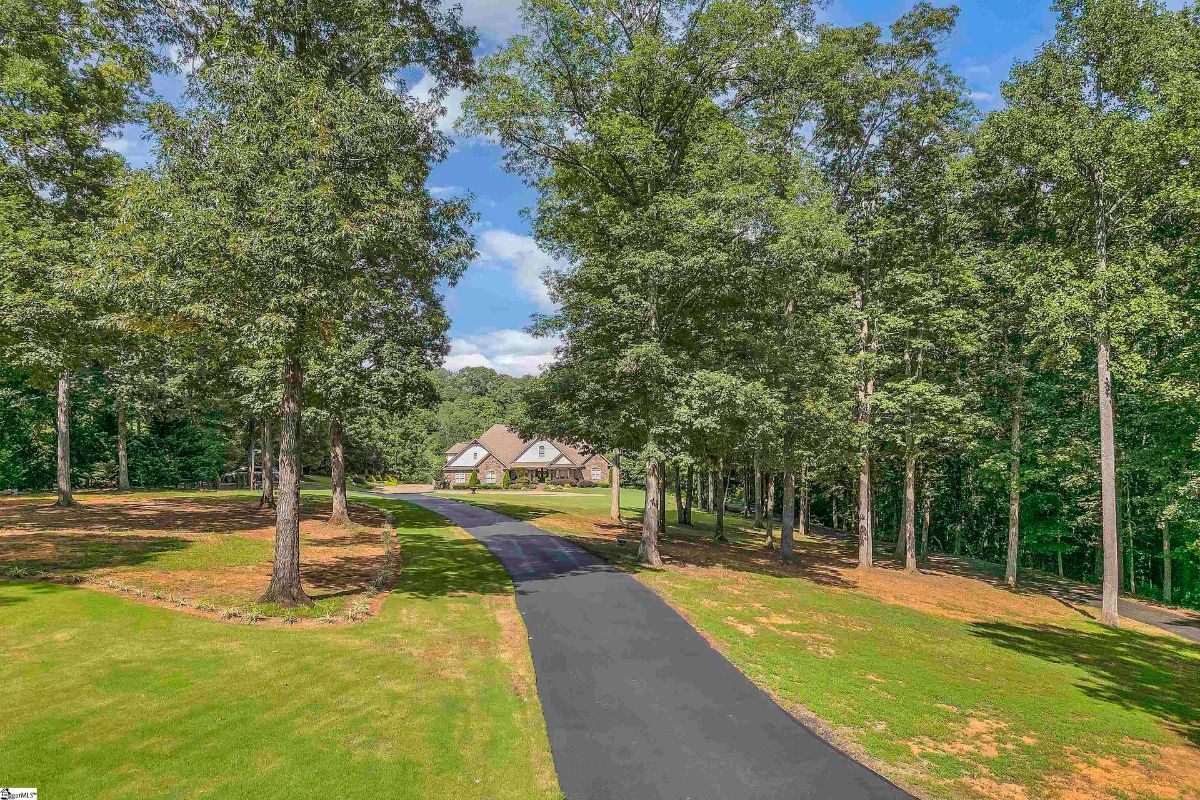 Tree-lined driveway