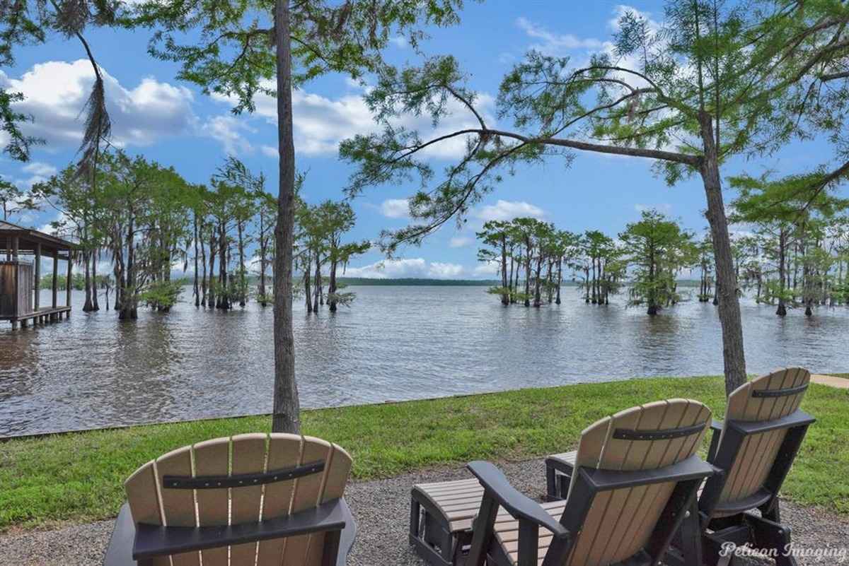 Adirondack chairs set by the water, overlooking cypress trees and the serene lake.