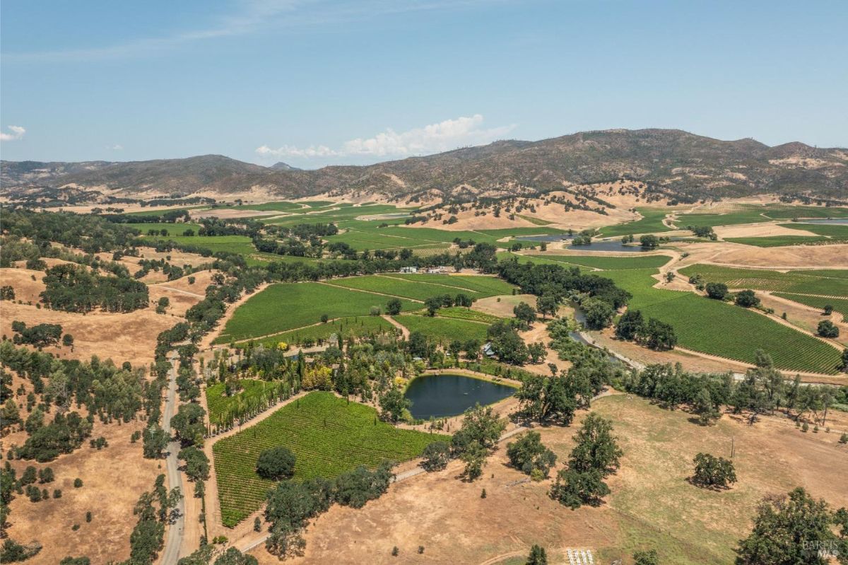 Aerial view shows vineyards, a small lake, a road, and hills.