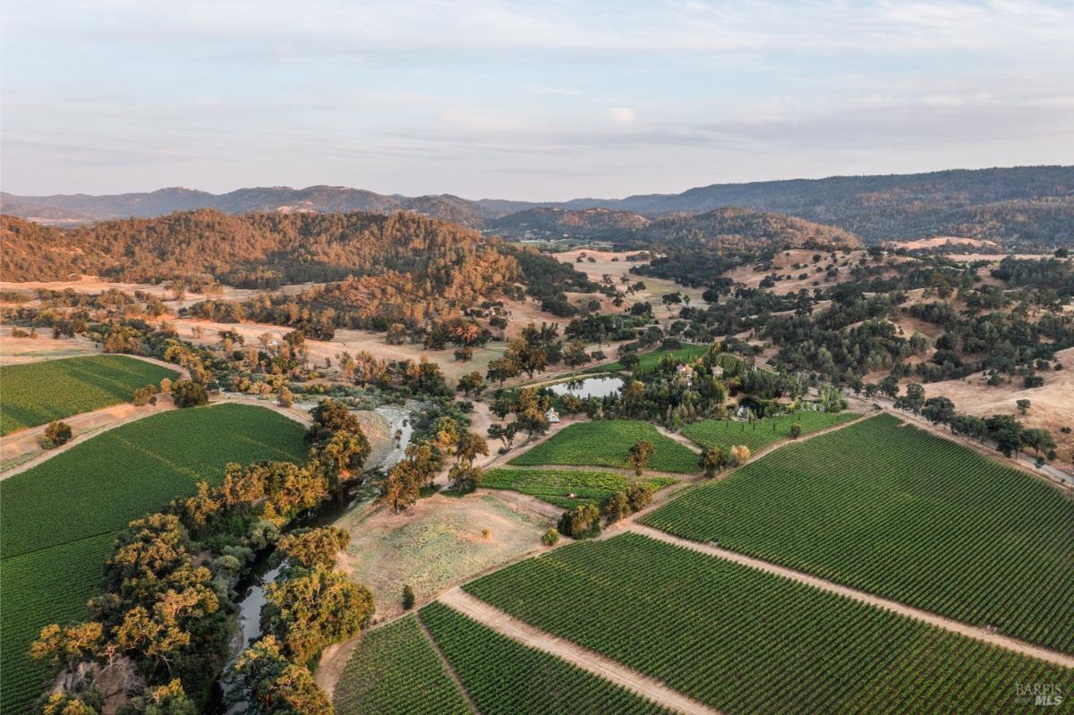 Aerial view of a vineyard and surrounding hills, showcasing farmland and natural terrain.