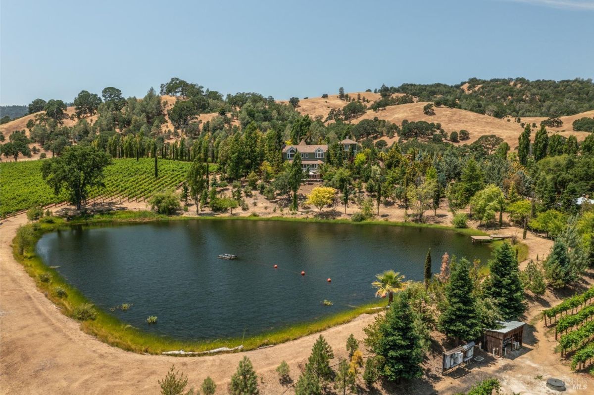 Aerial view shows a house, a pond, trees, and hills.