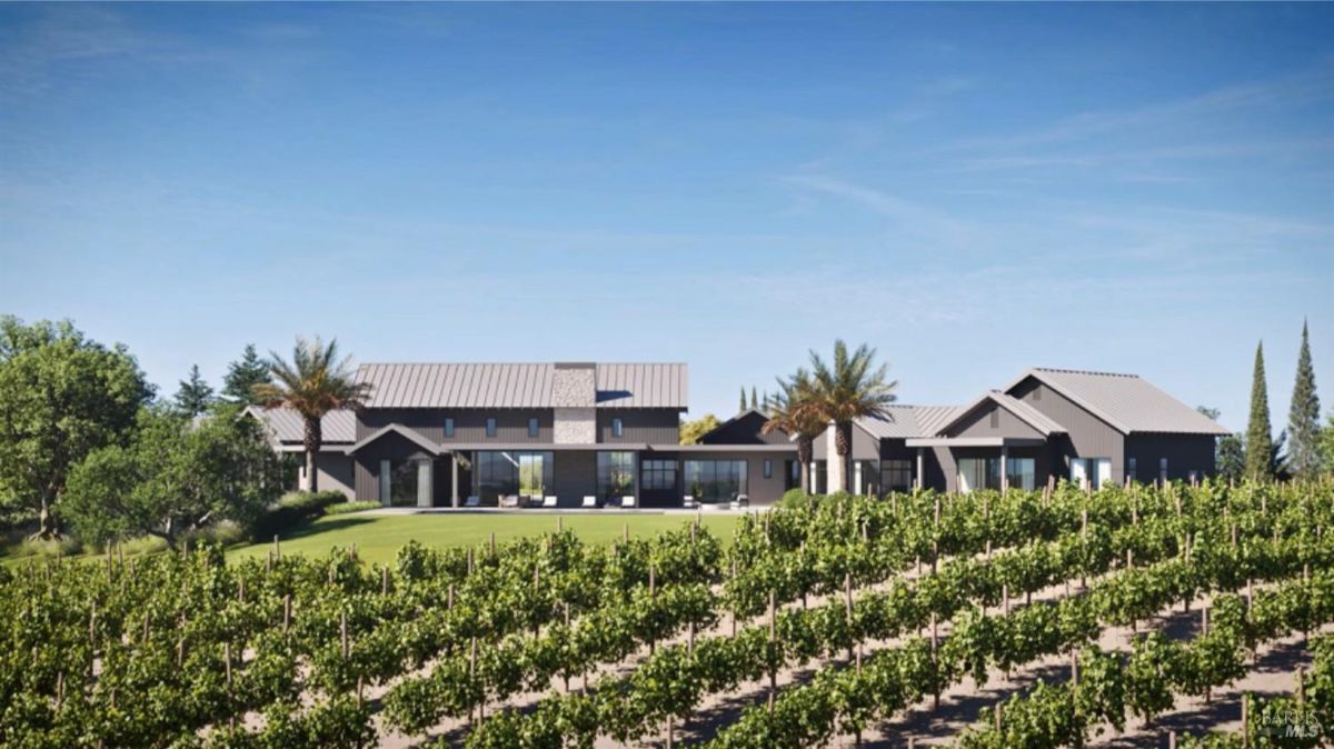 Features the rear facade of a modern home with symmetrical architecture and surrounding vineyards extending into the horizon.