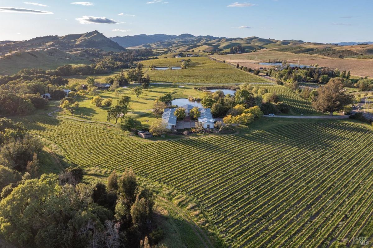 Aerial view of a vineyard estate surrounded by rolling hills and cultivated fields. A large building complex is centrally located, surrounded by green lawns, trees, and a pond. Rows of grapevines extend across the property, with distant hills and farmland visible in the background.