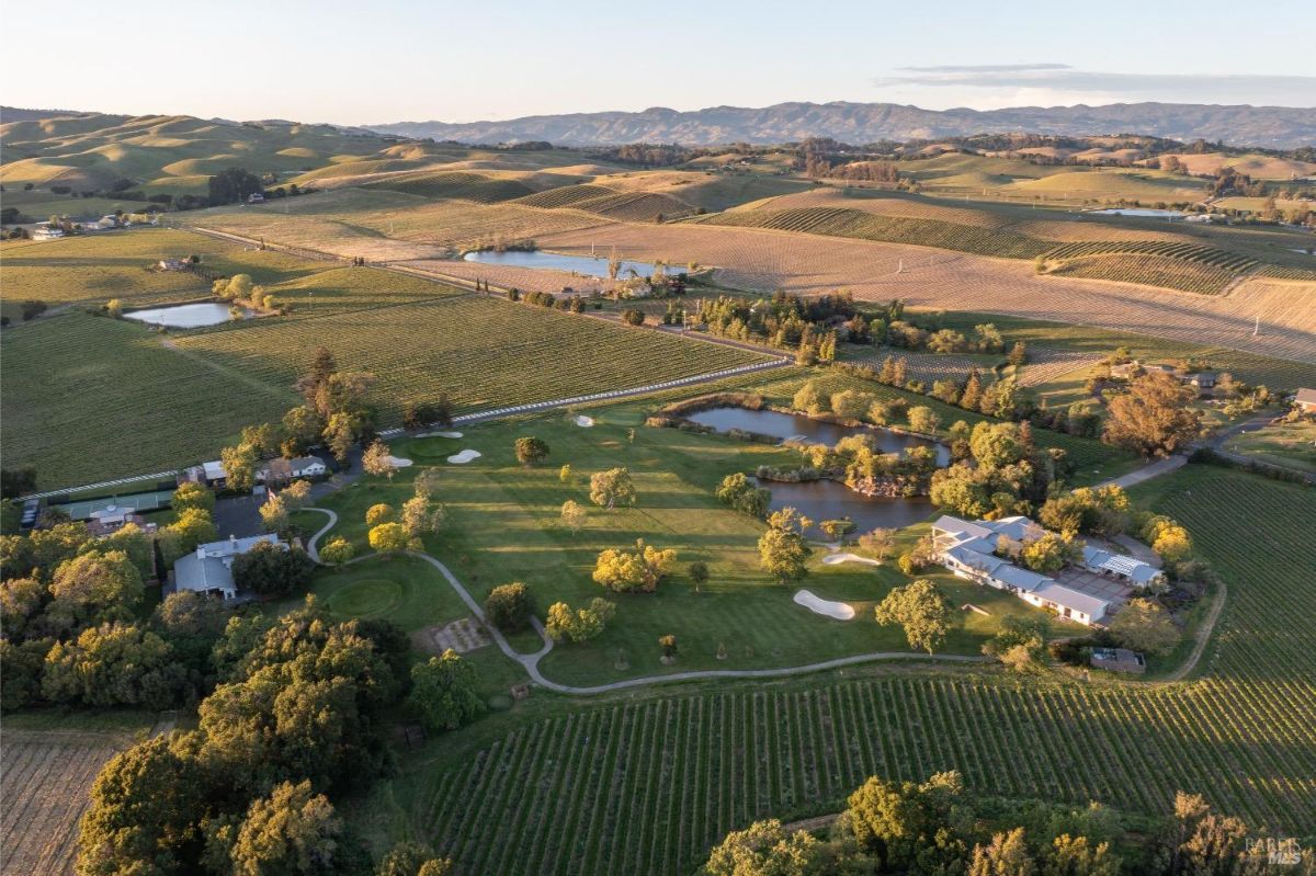 Aerial view of a vineyard estate surrounded by rolling hills and agricultural fields. A golf course with sand traps and green fairways occupies the central area, bordered by two ponds with trees. Buildings are visible at the edge of the estate, alongside rows of grapevines stretching across the landscape.