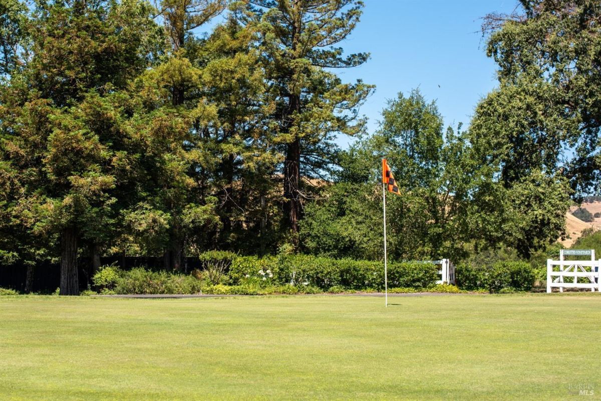 A golf putting green with a checkered red and black flag marking the hole. Trees and bushes border the area, providing a natural backdrop. A white wooden fence is visible in the background alongside a sign that reads "Corto Vineyard."