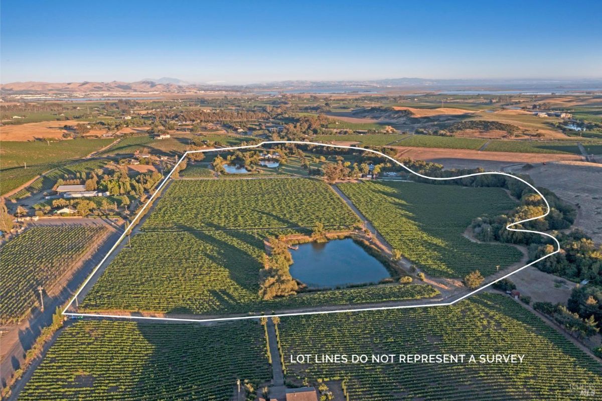 Aerial view of a large vineyard estate with boundaries outlined in white. A pond is visible in the lower central portion of the estate, surrounded by rows of grapevines. The estate is bordered by fields, agricultural land, and additional bodies of water in the distance.