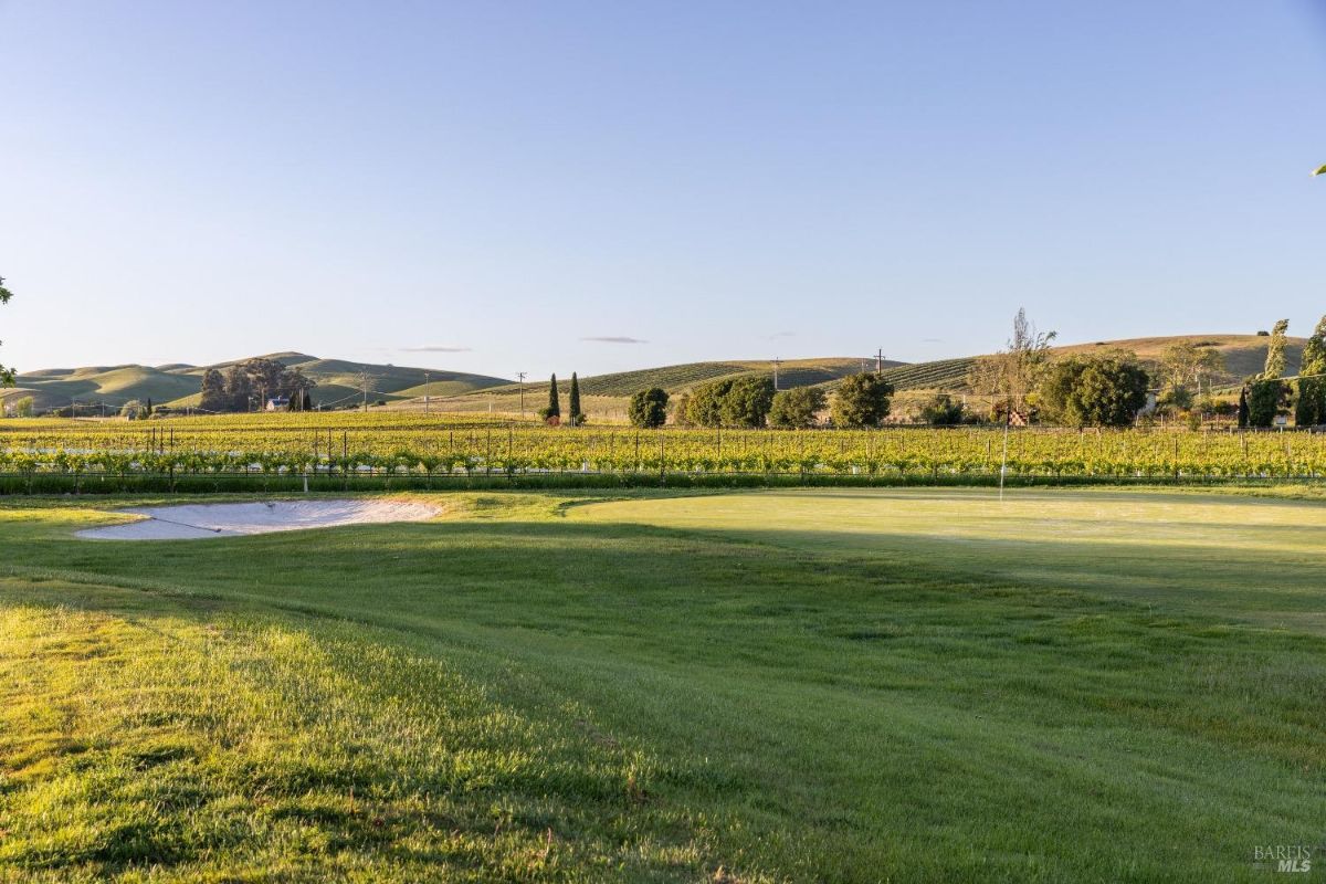 A large open grassy area with a sand bunker in the foreground. Beyond the grass, a vineyard with neatly aligned rows of grapevines stretches across the scene. Rolling hills and scattered trees are visible in the background beneath a clear sky.