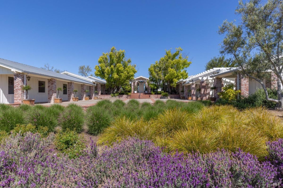 A landscaped courtyard surrounded by single-story buildings with white walls and brick columns. There are several trees with green foliage, potted plants along the buildings, and ornamental grasses and purple flowering plants in the foreground. A set of brick stairs leads to a central structure with a peaked roof, situated between the two wings of the buildings.