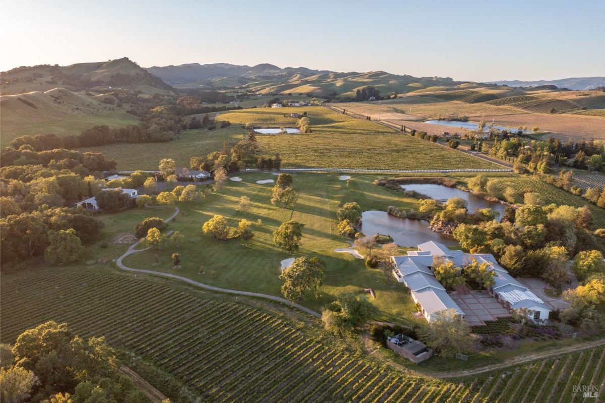  Aerial view of a large vineyard estate surrounded by rolling hills and open fields. A modern building complex is visible near a pond, surrounded by green grass, trees, and pathways. Rows of grapevines extend across the landscape, with additional ponds and agricultural areas in the distance.