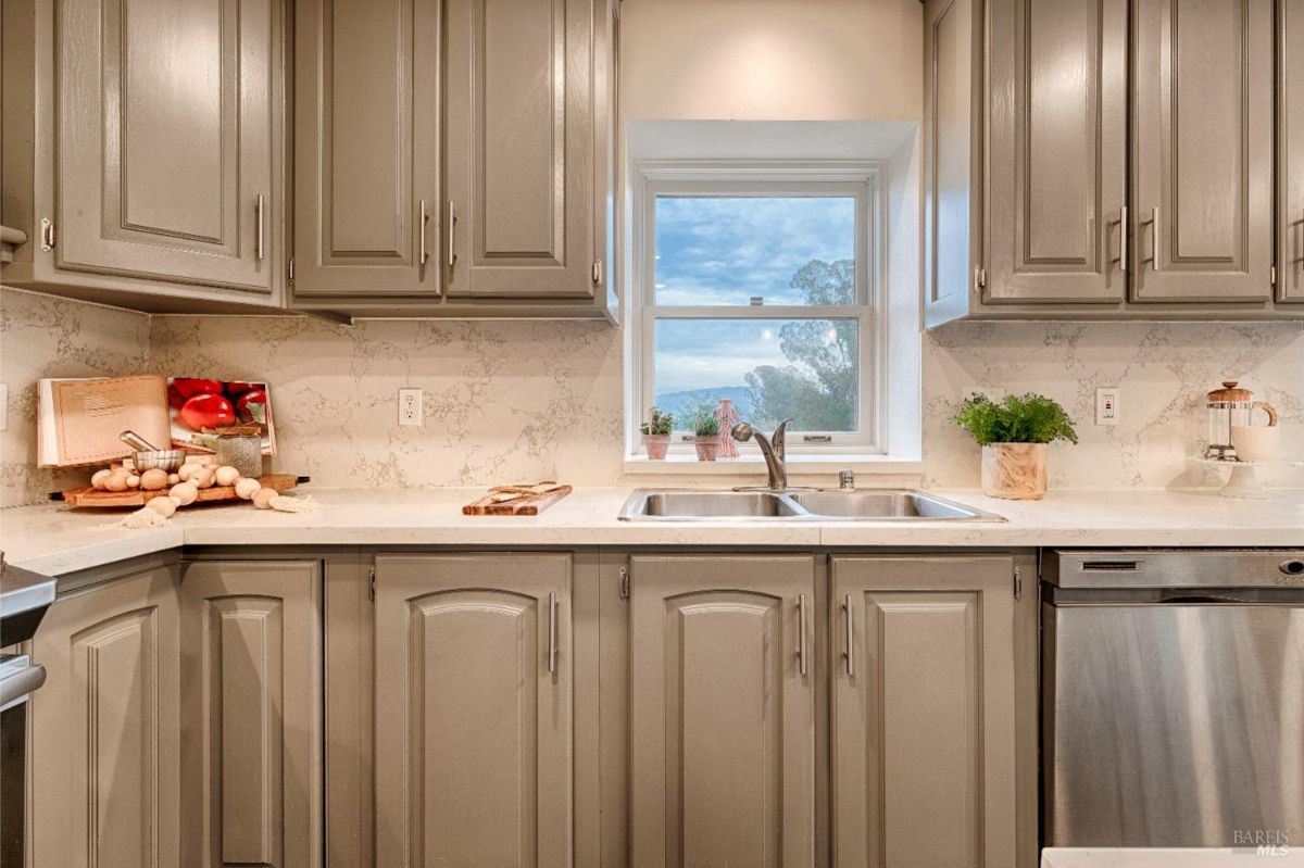 Two sinks, a window, a dishwasher, and cabinets.