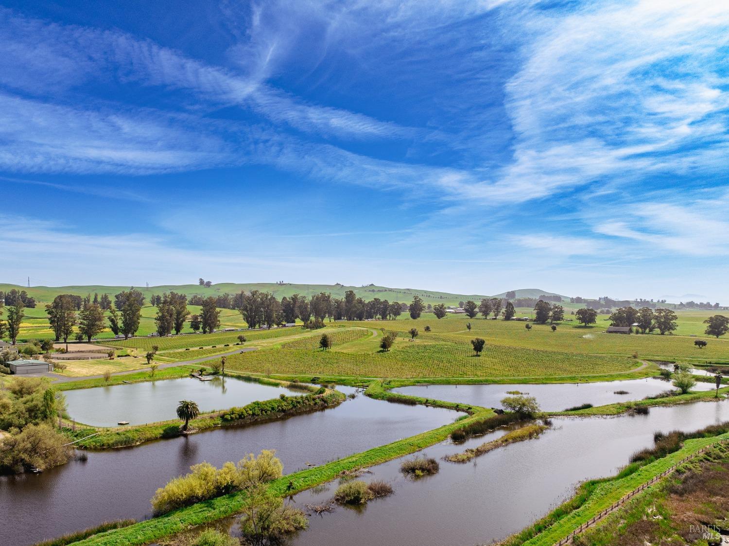 This aerial view captures the serene beauty of a sprawling vineyard landscape, interwoven with meandering waterways that add to the tranquility of the scene. The lush greenery, clear blue skies, and wispy clouds create a picturesque and idyllic countryside vista.