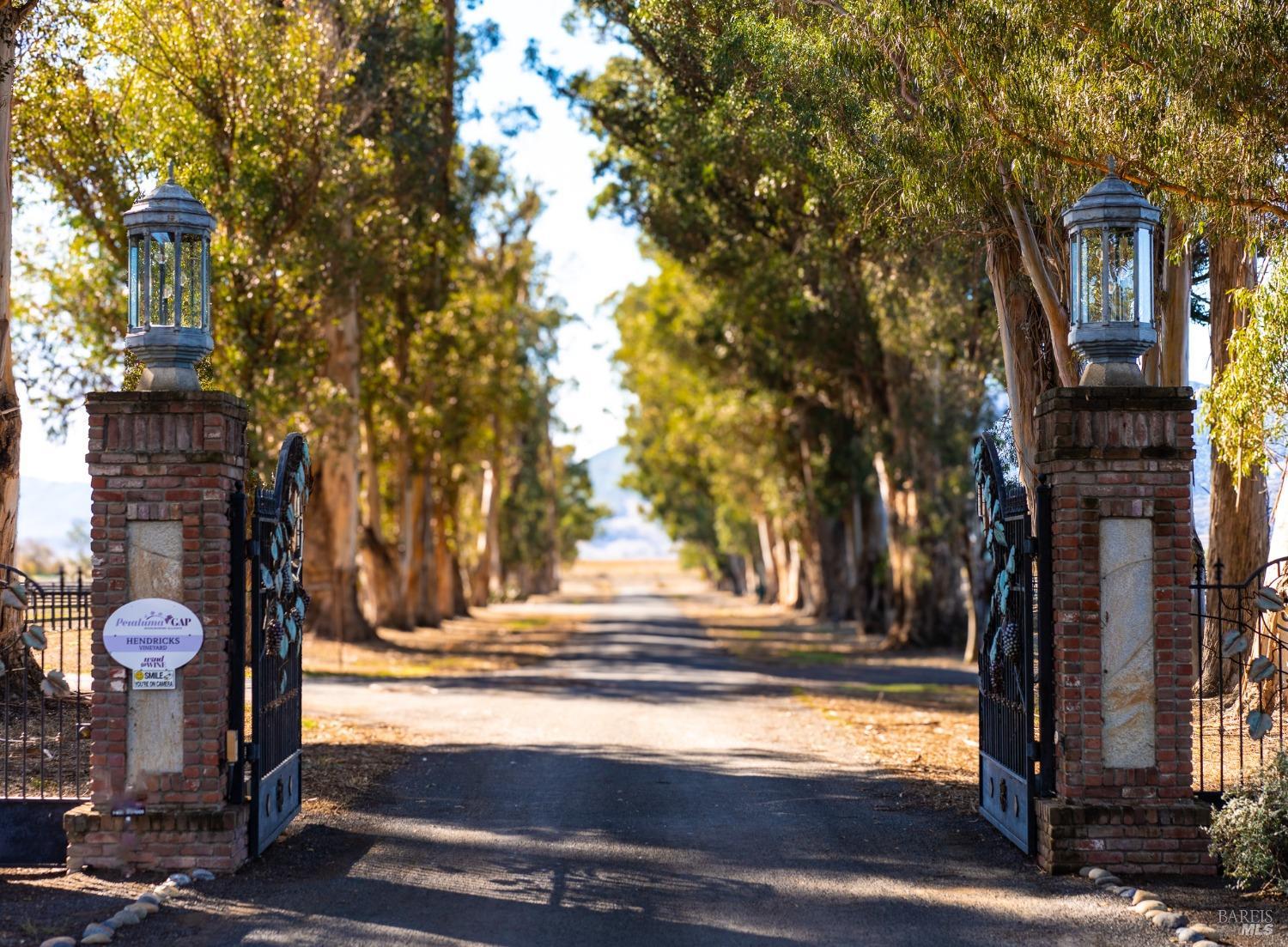 A grand entrance with brick pillars, ornate gates, and a long driveway lined with tall trees, leading to a picturesque estate.