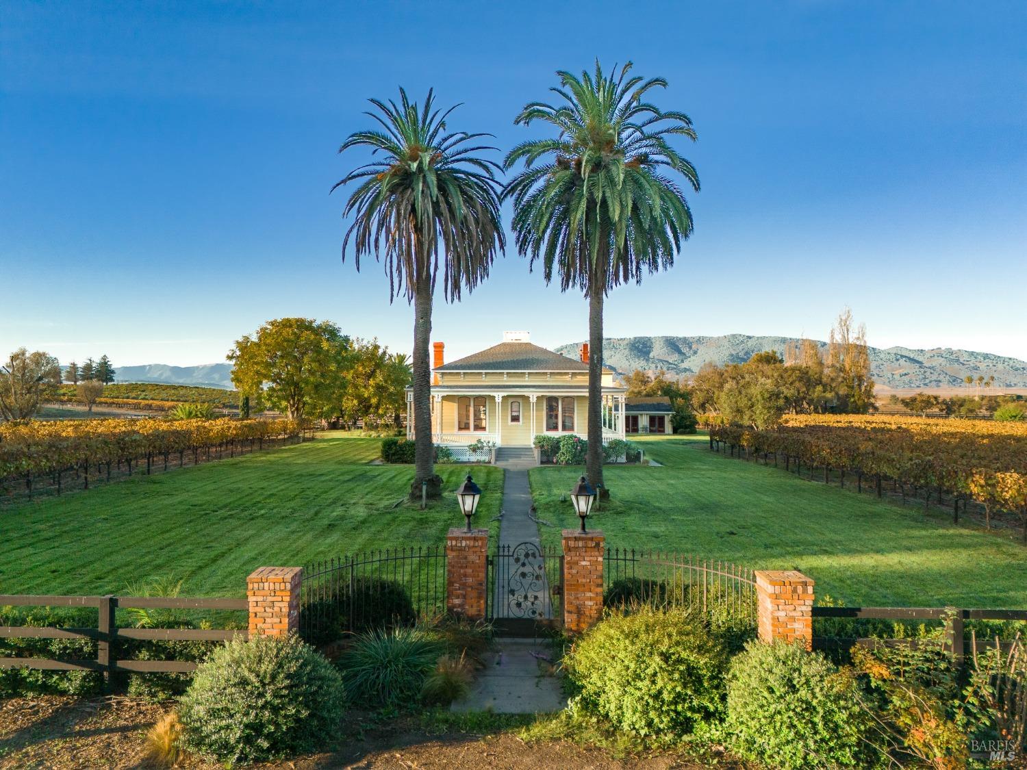 A charming yellow house with a wrap-around porch, nestled amidst a vineyard and flanked by tall palm trees. The sky is a clear blue, and the overall scene exudes a sense of peace and tranquility.