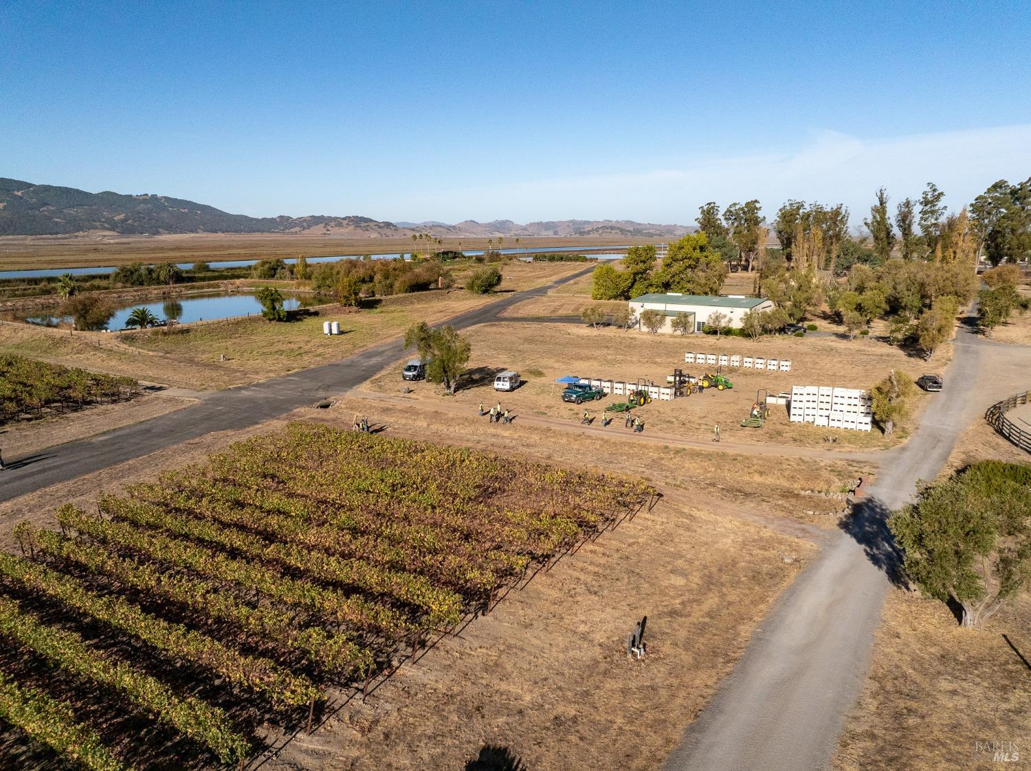 An aerial view of a vineyard with rows of grapevines stretching towards a body of water. There are several buildings on the property, including a barn and a small house.