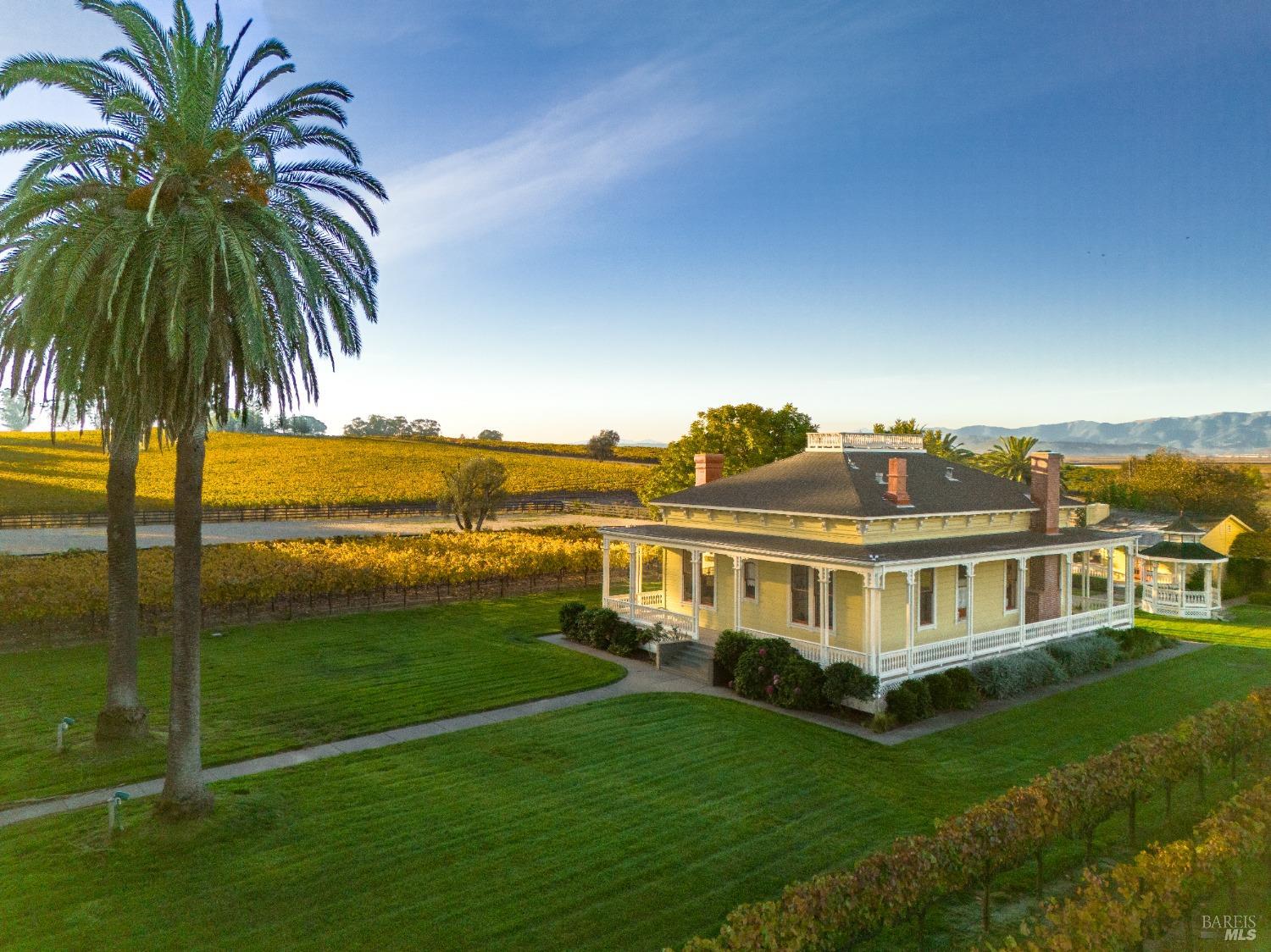 A picturesque yellow Victorian house with a wrap-around porch, nestled amidst a vineyard and palm trees. The house exudes a sense of elegance and charm, with a beautiful backdrop of rolling hills and a clear blue sky.